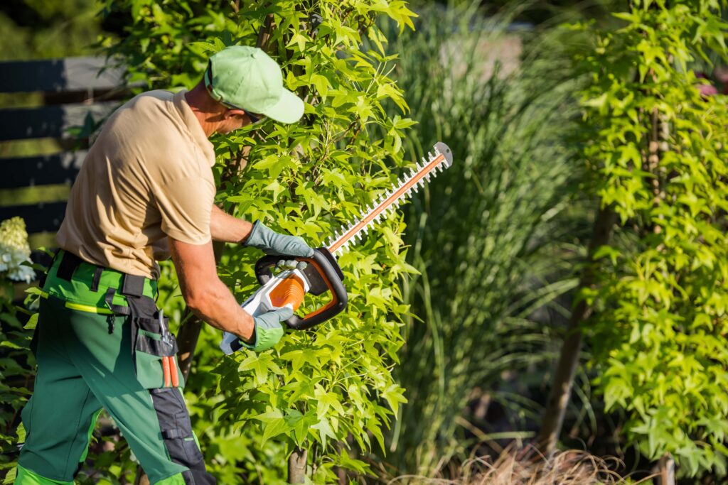 Ein Mann schneidet eine Hecke mit einer elektronischen Gartenschere